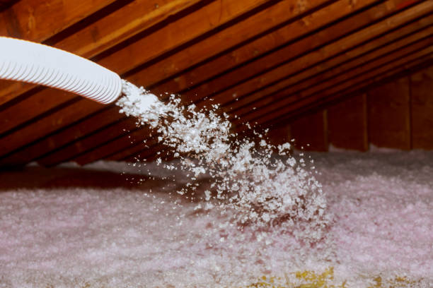 Best Types of Insulation in Alamo, CA